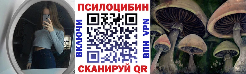 Галлюциногенные грибы Magic Shrooms  Салехард 